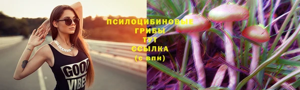 мет Алзамай